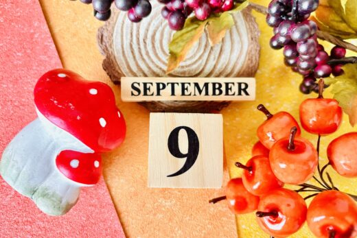 9月度動画を公開しました