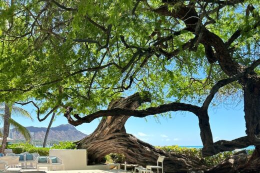 たくさんのメッセージありがとうございます