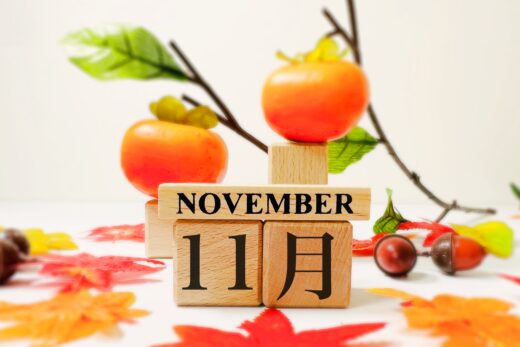 11月度スケジュール