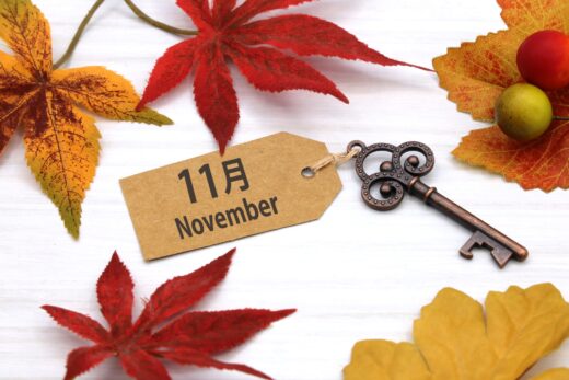 11月度動画を公開しました