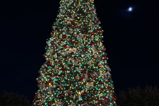 12月度1本目のブログを公開しています