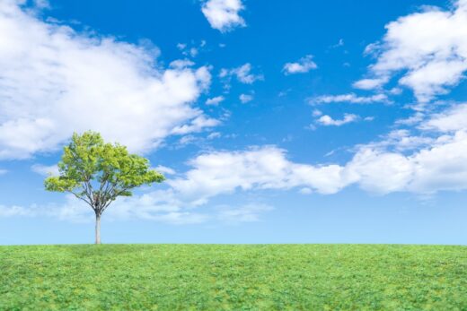 ＜スタッフよりお知らせ＞＜一般向け＞【呪術ライト】悲惨な過去世カルマの抹消、ネガティヴエネルギー徹底除去セッション