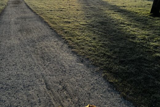 ヨーロッパに来た意味、本質を生きるということ