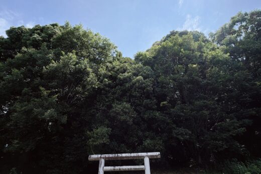 長くかかった呪いから目覚め始めて得る恐怖心