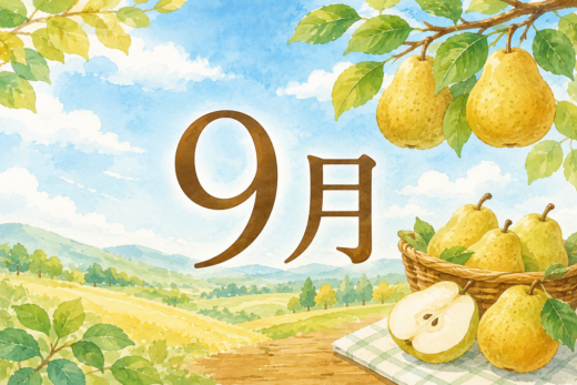 9月度スケジュール