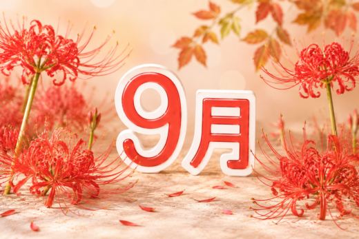 9月度動画を公開しました